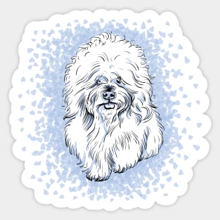 dog Bichon Frise breed Sticker